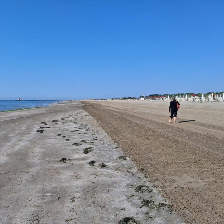 La Garzetta, enjoy Venice by the sea !! - Villa mit 3 Schlafzimmern - 23