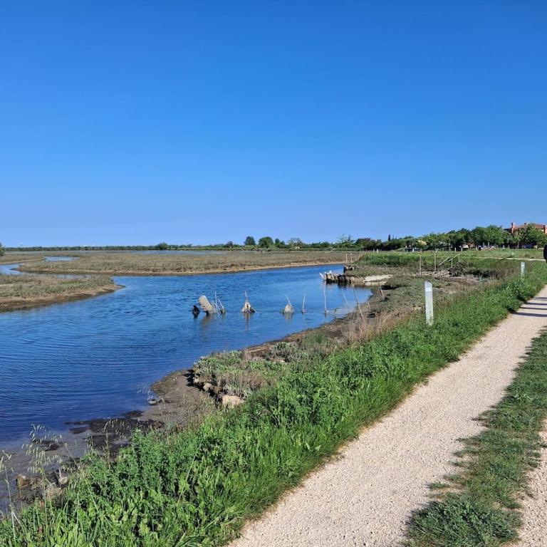 La Garzetta, enjoy Venice by the sea !! - Villa mit 3 Schlafzimmern - 28