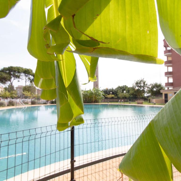 Global Vacacional, Acogedor apartamento en Canet de Berenguer cerca de la playa - Apartment mit Terrasse - 20