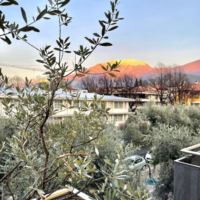 Stylish Downtown Apart close to the beach - Appartamento con 3 Camere da Letto - 69