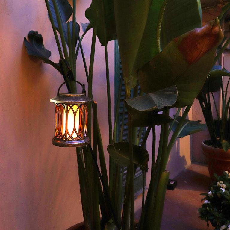Colosseo Garden Lodge - Casa - 87