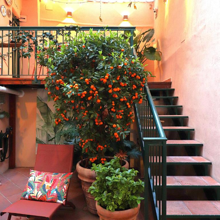 Colosseo Garden Lodge - Ferienhaus - 11