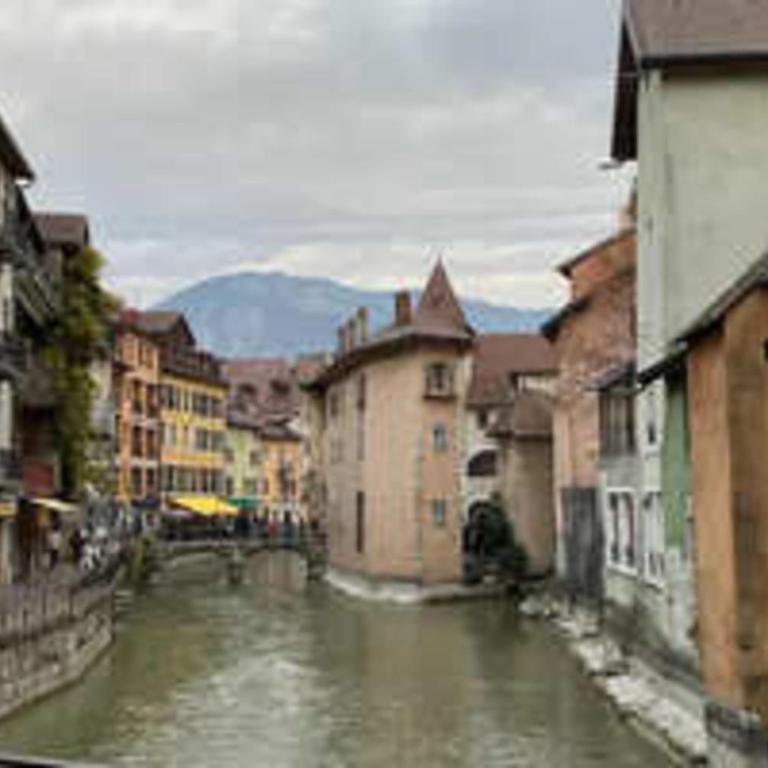 Spacious studio near Lake Annecy - Studio - 1