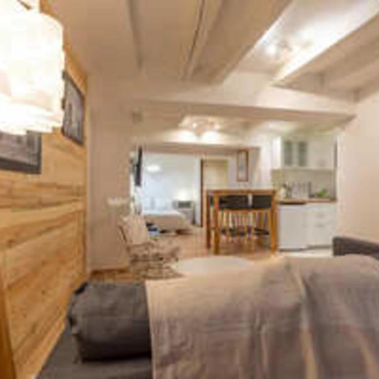 Spacious studio near Lake Annecy - Studio - 2
