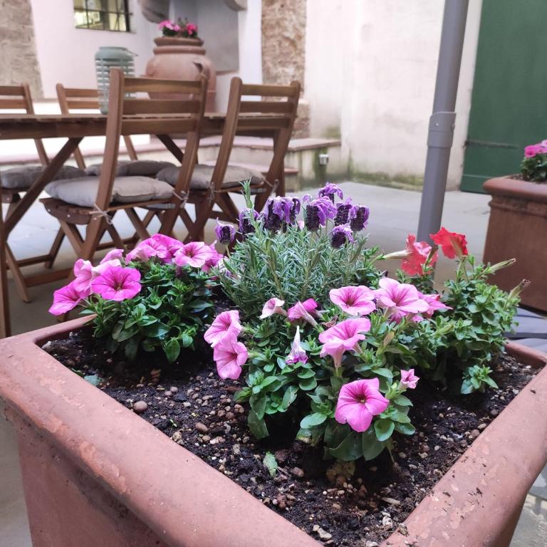 Torre dei Sapiti Apartment with private courtyard - Appartement 2 Chambres - 55