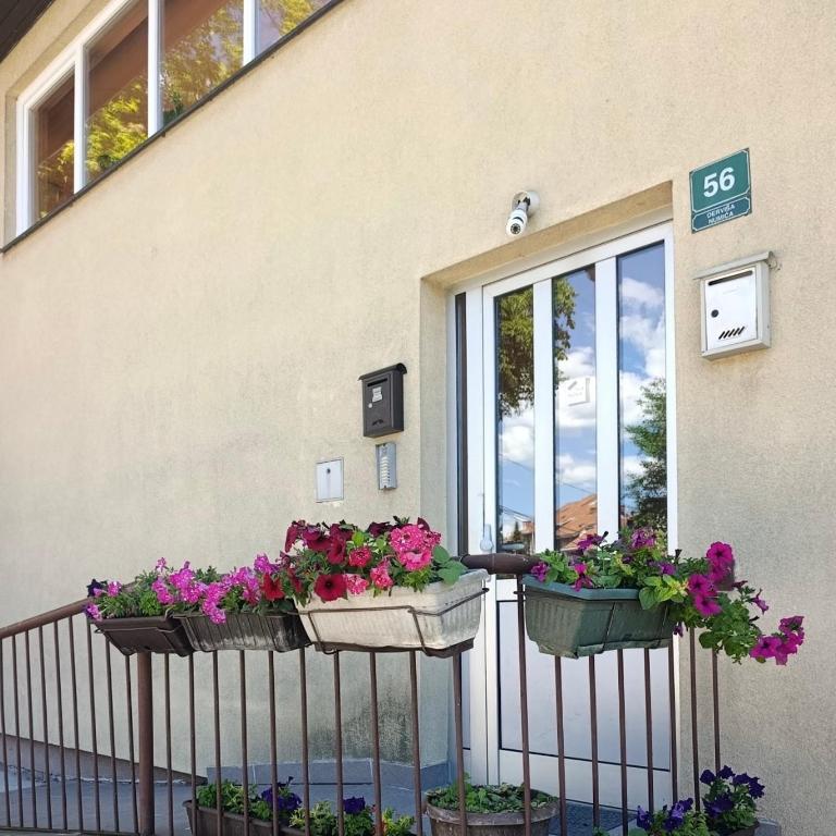 Apartman Vraca - Appartement 1 Chambre - 2