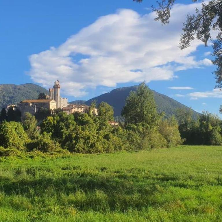 Charming Bed & Breakfast near to Lucca - Habitación Doble con vistas al parque - 12