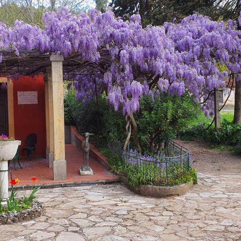 Charming Bed & Breakfast near to Lucca - Habitación Doble con vistas al parque - 2