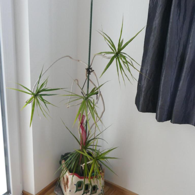 Chads City Apartment mit Tiefgarage free parking - Apartment mit Balkon - 27