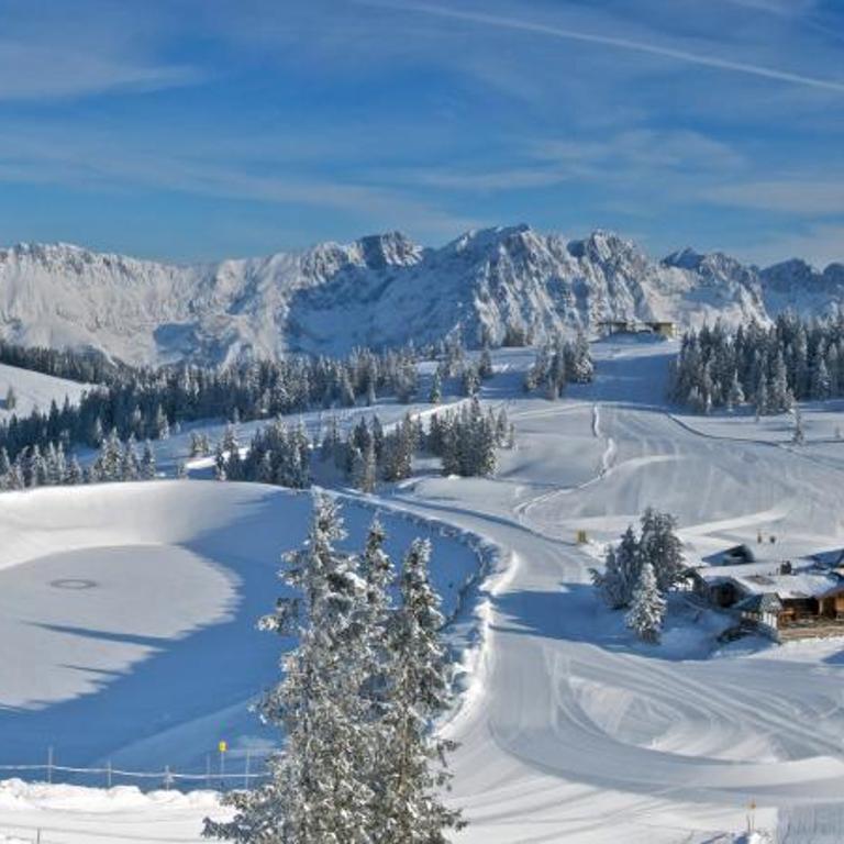 Wieshof Wilder Kaiser by ALPS RESORTS - One-Bedroom Apartment - 5