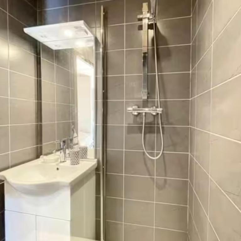 Studio montagne Les Carroz - One-Bedroom Apartment - 2