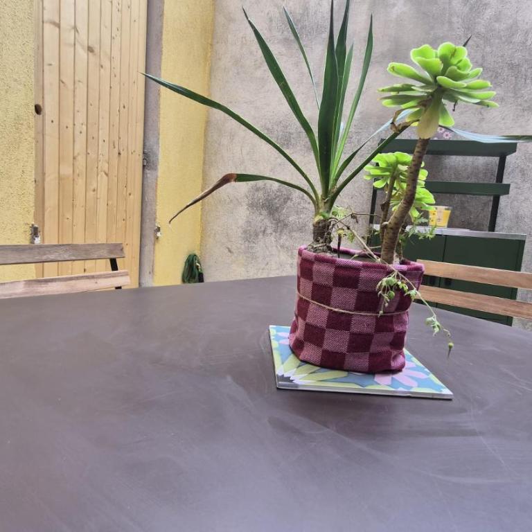 La Terrasse d'Auphan - Apartamento de 1 dormitorio - 38