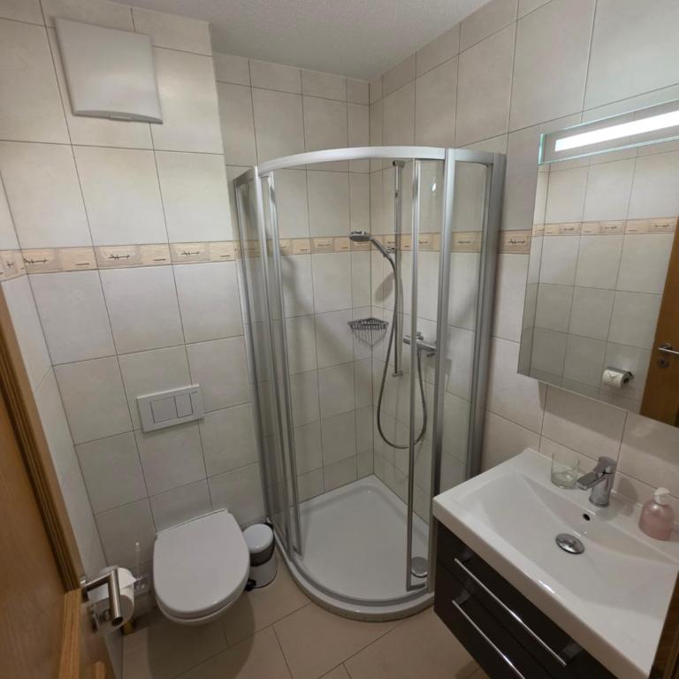 Residenz Ambassador 5 Sterne Luxus Apartments in Leukerbad mit Wellness & Fitness - Deluxe Apartment mit Balkon und 2 Schlafzimmern - 6