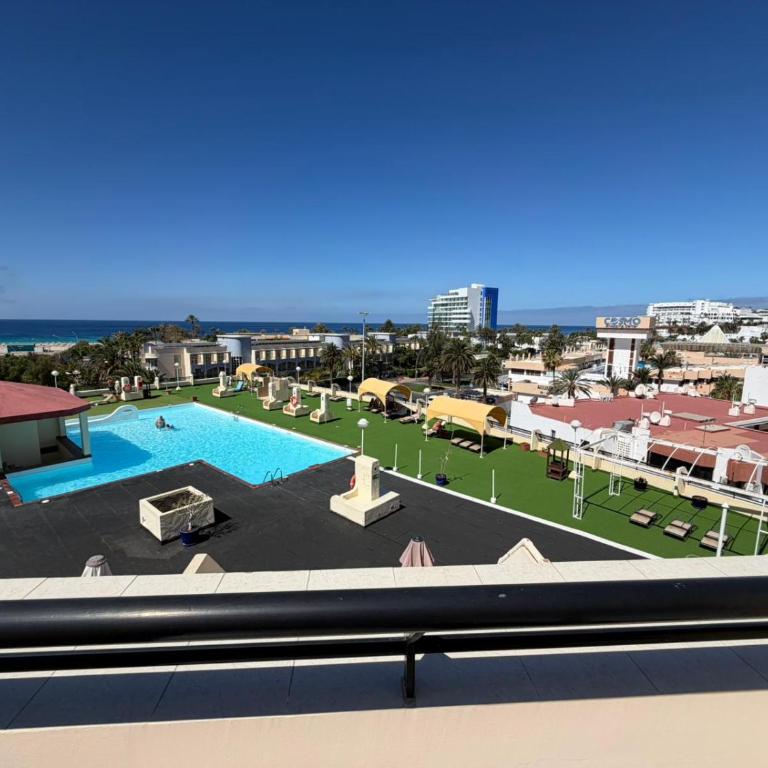 IPA Palm Garden - Appartamento con 1 Camera da Letto - 12