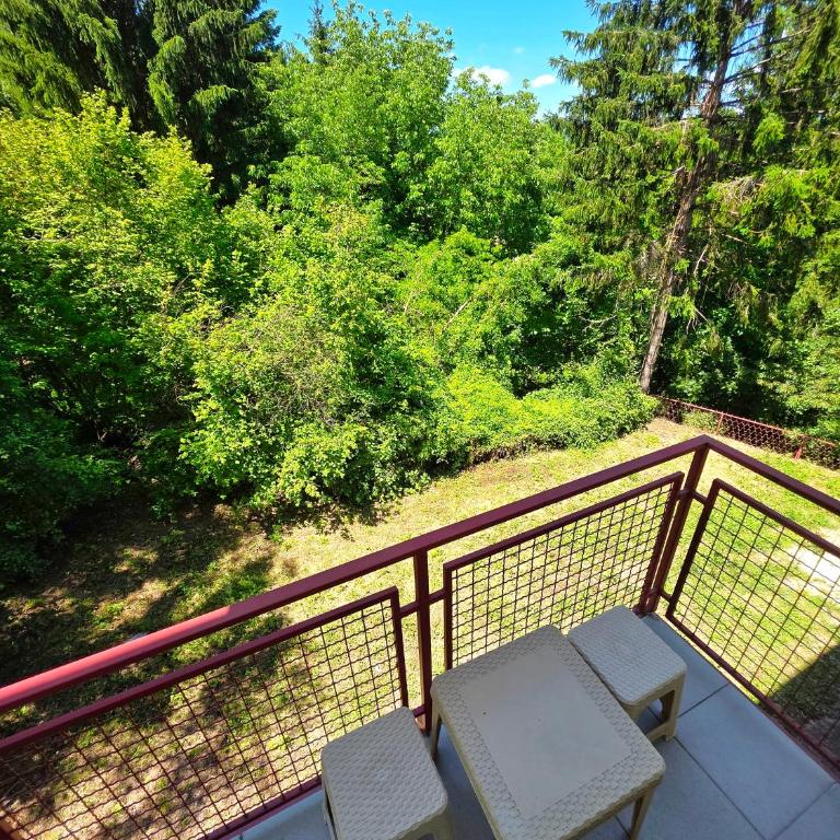 Studio Martin 1 Sokobanja - Park Čuka 2 - Studio mit Terrasse - 24