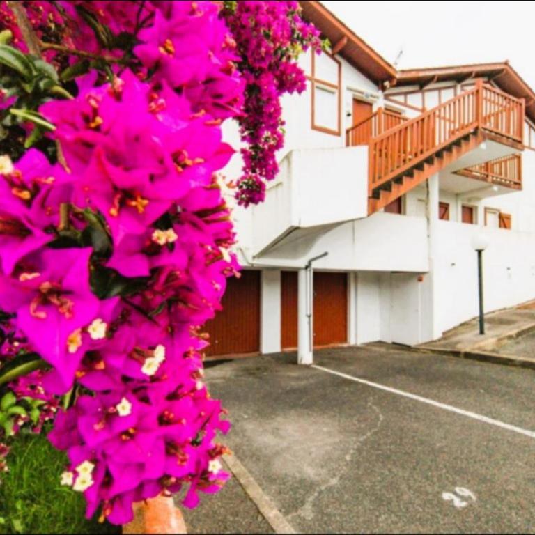 Appartement rénové à Hendaye, climatisé avec parking - FR-1-2-446 - Appartement - 14