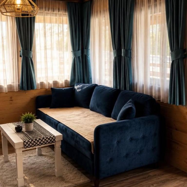 Zagrad Homes in Zabljak - Two-Bedroom House - 3