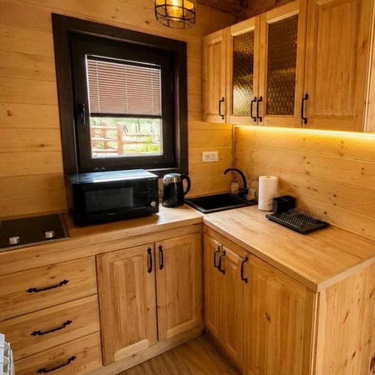 Zagrad Homes in Zabljak - Two-Bedroom House - 2