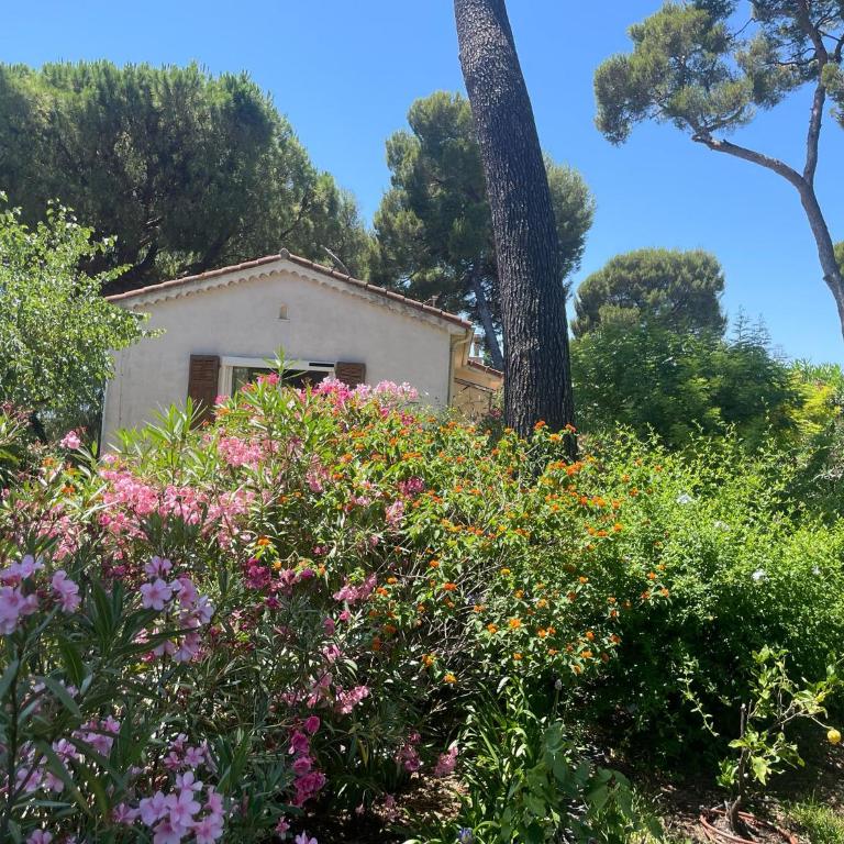 Villa dans grand jardin provençal - Villa - 12