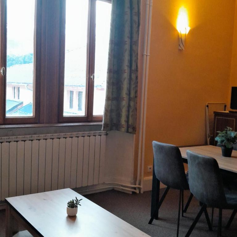 Appartement T2 dans Château, 4 pers, piscine, animaux admis - Appartement 1 Chambre - 7