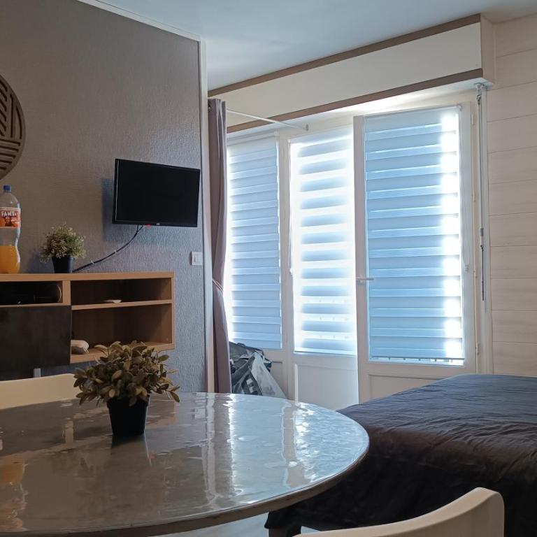 STUDIO CALME PROCHE CENTRE BORDEAUX - Apartment mit 1 Schlafzimmer - 4