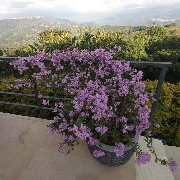 Modern house with mountainviews - Three-Bedroom Villa - 54