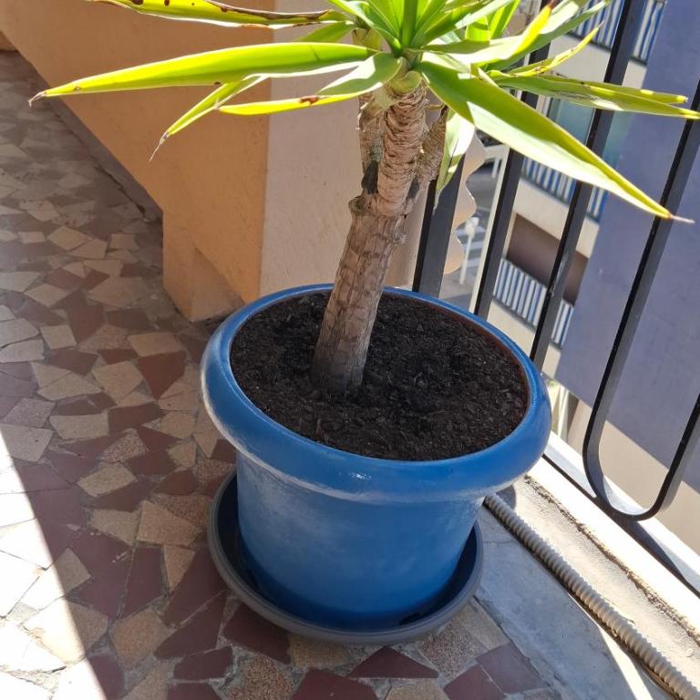 Beautiful 1-room apartment, south-facing, beach and train station 15 minutes away on foot - Appartement 2 Chambres - 4
