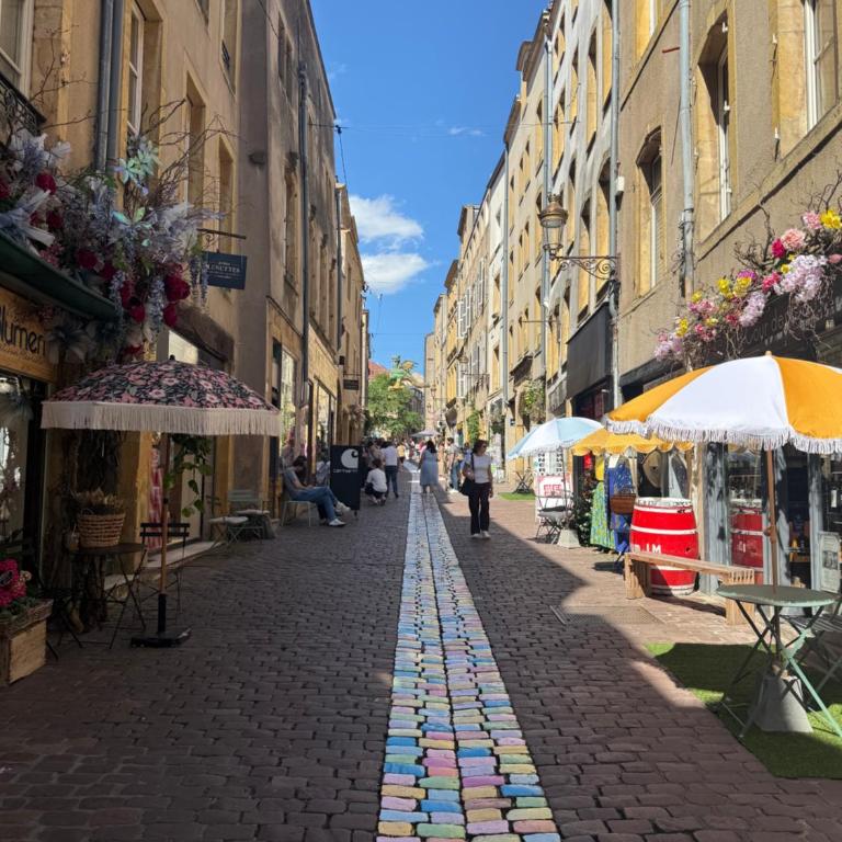 Metz city center, comfort, charm, ideal TAISON - One-Bedroom Apartment - 4