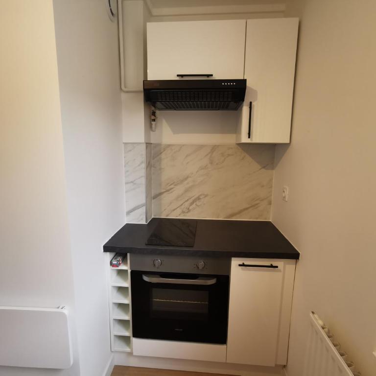 T4 fonctionnel - 3 chambres - Idéal pros et groupes - Au pied de la Bastille - Apartment mit 3 Schlafzimmern - 10
