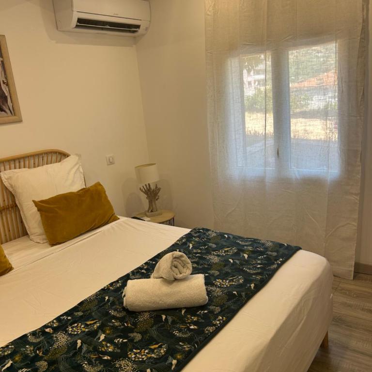 Charmant appartement à Ajaccio - Appartement 1 Chambre - 13