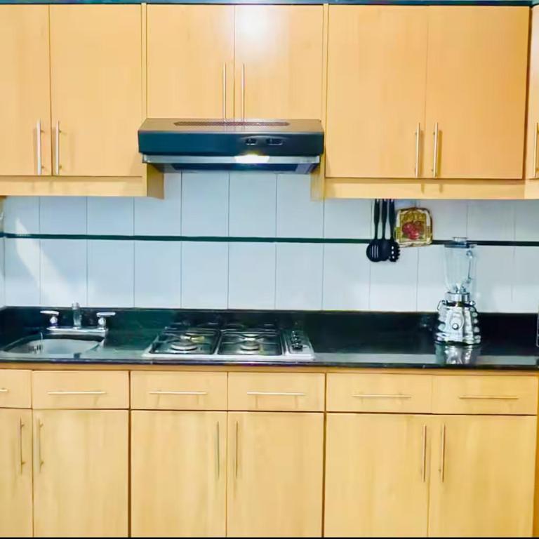 Flat familiar en Av Granados céntrico - Apartamento de 3 dormitorios Premium - 32