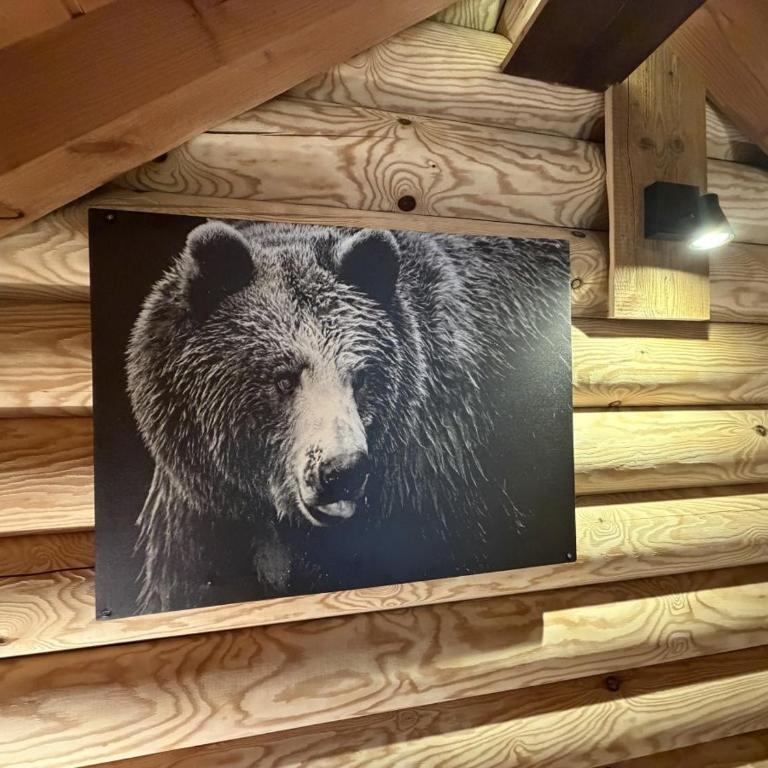 L'OURS NOIR Chalet en rondins - Chalet con 2 Camere da Letto - 3