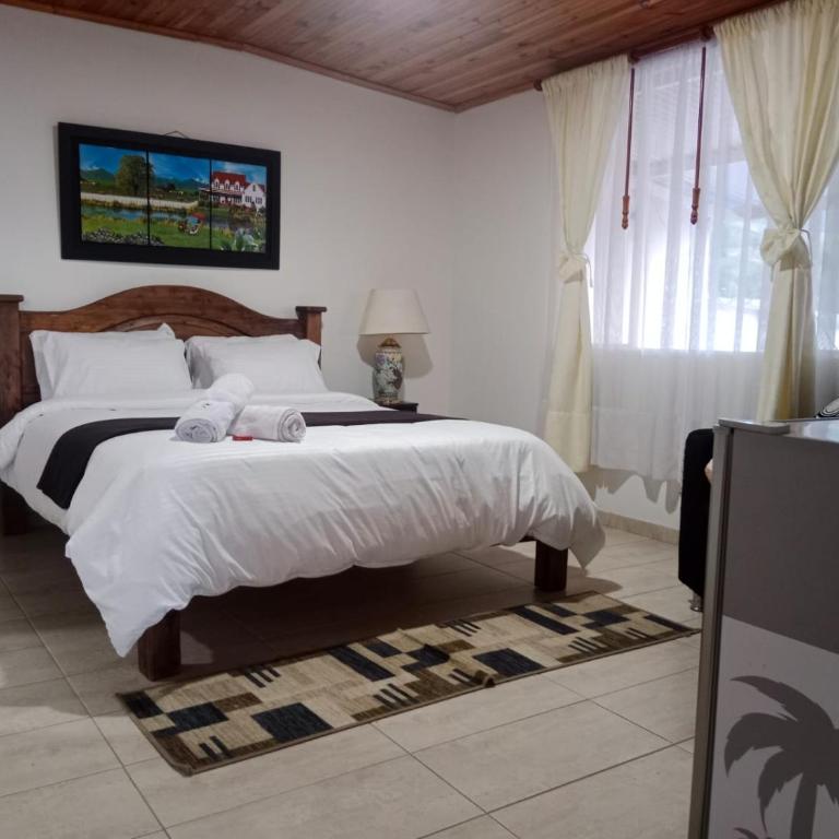 Hotel La Palmita - Suite Junior - 1