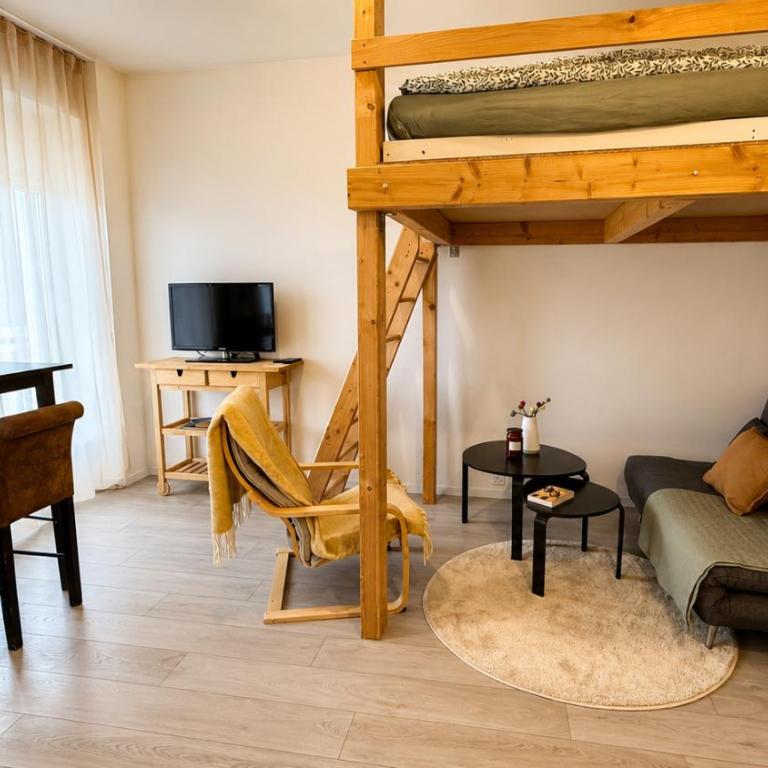 Petit Canada - Studio à louer - Apartment mit 1 Schlafzimmer - 7