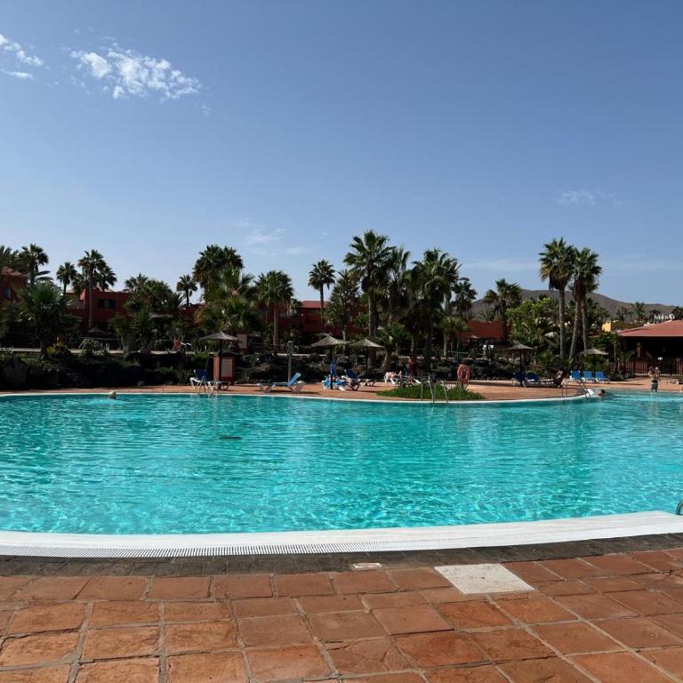 Oasis Bahia - Apartment mit 1 Schlafzimmer - 7