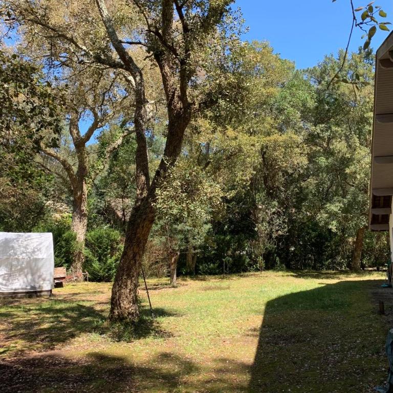 Villa Charmadura, 6 Pers, lac et centre ville à 5mn - Villa de 3 dormitorios - 13