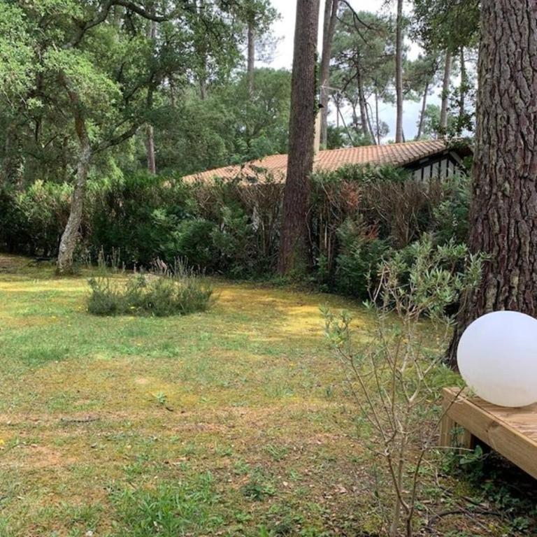 Villa Charmadura, 6 Pers, lac et centre ville à 5mn - Villa de 3 dormitorios - 12