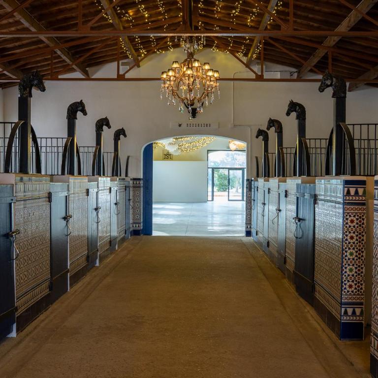 Mas de Dard - Villa - 2