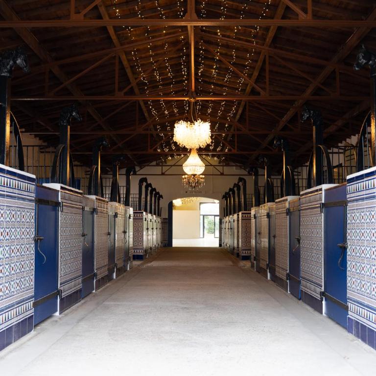 Mas de Dard - Villa - 3