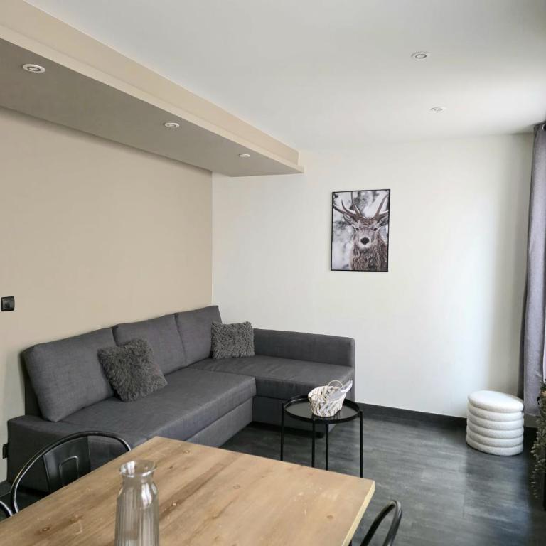 Appartement 2 pièces 4 personnes au cœur du village St étienne de Tinée - Appartement 1 Chambre - 4