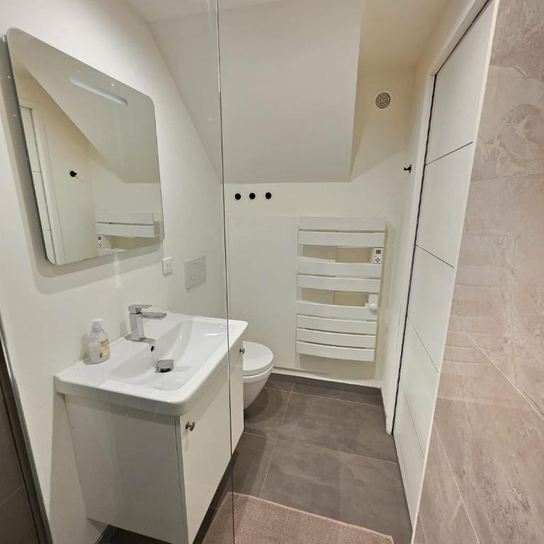 Appartement 2 pièces 4 personnes au cœur du village St étienne de Tinée - Appartement 1 Chambre - 7