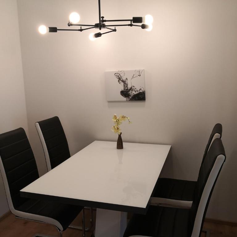 Eichbachgasse 38 - Apartment - Erdgeschoss - 2