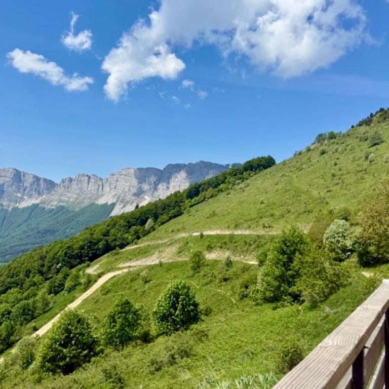 Le nid du vercors - Appartement 1 Chambre - 22