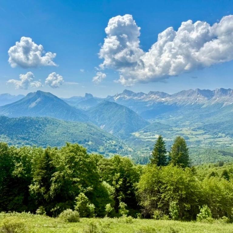 Le nid du vercors - Appartement 1 Chambre - 26