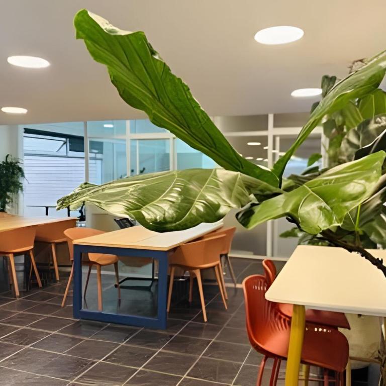 2BR • Terrace, BBQ, Cowork • Close from Provenza - Apartment - 20