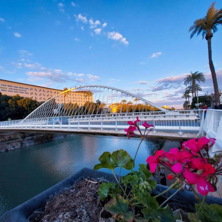 Alojamiento Dream en Murcia centro - Apartamento de 2 dormitorios con vistas a la ciudad - 14