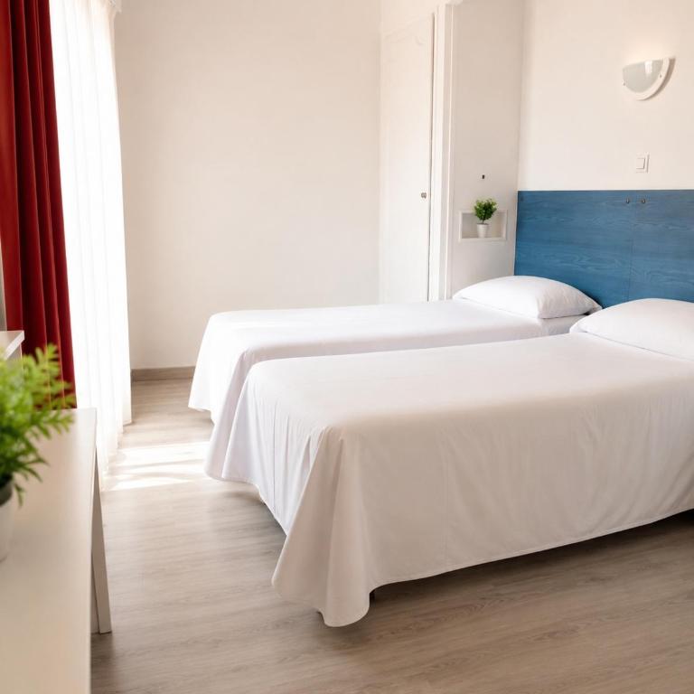 Hôtel le Canetois - Chambre Lits Jumeaux Climatisée - 2