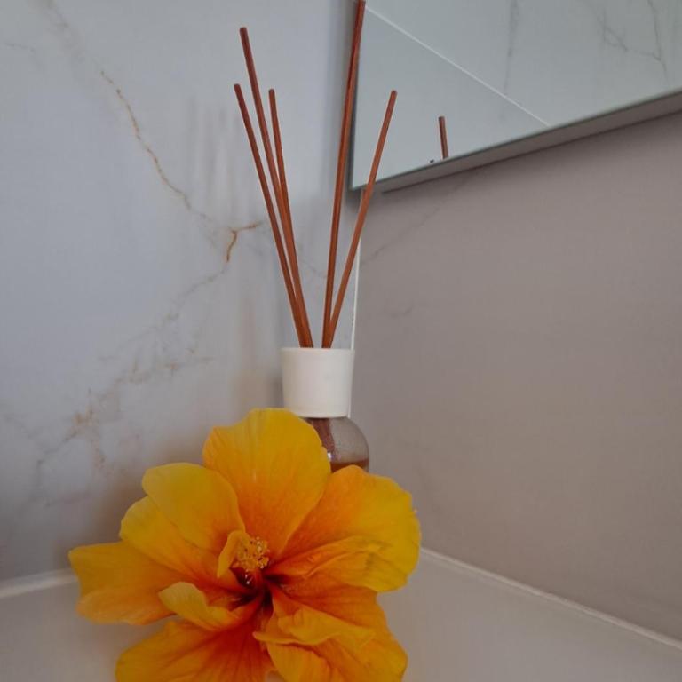 B&B Sa Meri e Su Mari - Habitación Doble con baño privado - 4