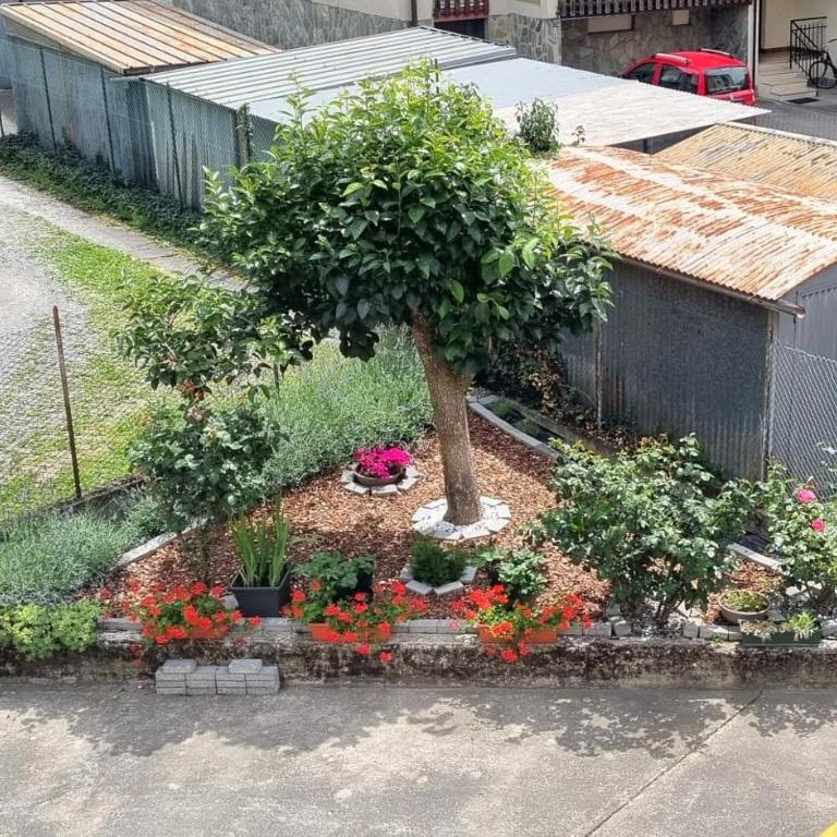 Casa Colomba a Tirano - Three-Bedroom Apartment - 37