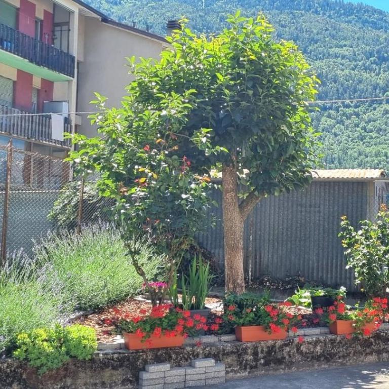 Casa Colomba a Tirano - Three-Bedroom Apartment - 38